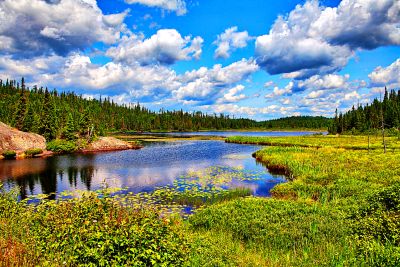 Wilderness Lake Download Jigsaw Puzzle