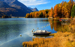 Autumn Lake Reflection Download Jigsaw Puzzle