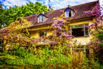 Wisteria Covered House Download Jigsaw Puzzle