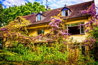 Wisteria Covered House Download Jigsaw Puzzle