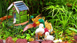 Garden Duck Statues Download Jigsaw Puzzle