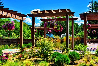 Garden Pergola Walkway Download Jigsaw Puzzle