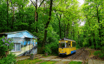 Forest Trolley Stop Download Jigsaw Puzzle
