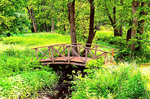 Park Bridge Download Jigsaw Puzzle