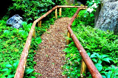 Wooden Pathway Download Jigsaw Puzzle