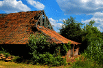 Weathered Barn Download Jigsaw Puzzle