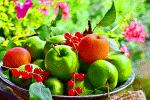 Fruit Download Jigsaw Puzzle
