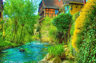 River Download Jigsaw Puzzle