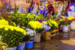 Vibrant Flower Market Download Jigsaw Puzzle