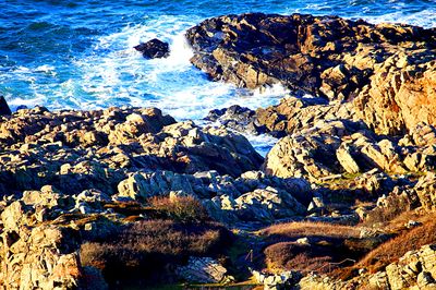 Rocky Shore Download Jigsaw Puzzle