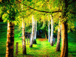 Trees Download Jigsaw Puzzle