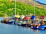 Boats Download Jigsaw Puzzle