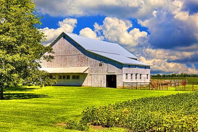 Weathered White Barn Download Jigsaw Puzzle