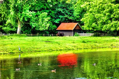 Red-Roofed Cottage Download Jigsaw Puzzle
