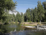Merced River Download Jigsaw Puzzle