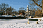 The Pond Download Jigsaw Puzzle