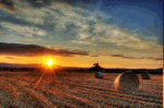 Sunset Haybales Download Jigsaw Puzzle