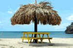 Yellow Picnic Bench Download Jigsaw Puzzle