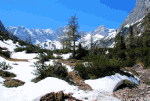 In The Mountains Download Jigsaw Puzzle