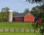 Horse Ranch Download Jigsaw Puzzle