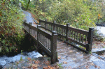 Trail Download Jigsaw Puzzle