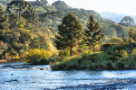 River, Brazil Download Jigsaw Puzzle