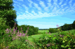 Summer Landscape Download Jigsaw Puzzle
