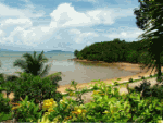 Tropical Beach Download Jigsaw Puzzle
