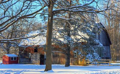Horse Barn Download Jigsaw Puzzle