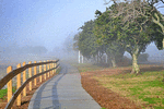 Fog Download Jigsaw Puzzle