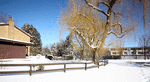 Snow Download Jigsaw Puzzle
