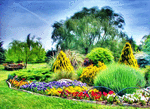 Garden Download Jigsaw Puzzle