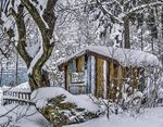 Snowy House Download Jigsaw Puzzle