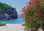 Sea View Download Jigsaw Puzzle