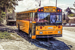 School Bus Download Jigsaw Puzzle