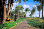 Path Download Jigsaw Puzzle