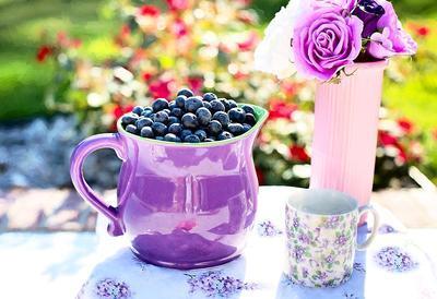 Blueberries Download Jigsaw Puzzle