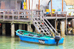 Boat, Hong Kong Download Jigsaw Puzzle