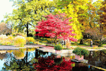 Park, Autumn Download Jigsaw Puzzle