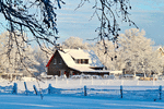 Winter Download Jigsaw Puzzle