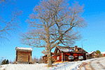 Winter Download Jigsaw Puzzle