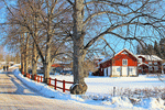 Winter Road Download Jigsaw Puzzle