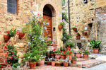 Flowers, Tuscany Download Jigsaw Puzzle