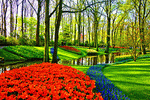 Park, Holland Download Jigsaw Puzzle