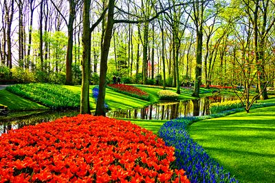 Park, Holland Download Jigsaw Puzzle