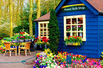 Flower Shop, Holland Download Jigsaw Puzzle