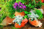 Plants Download Jigsaw Puzzle