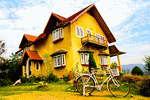 Yellow House Download Jigsaw Puzzle