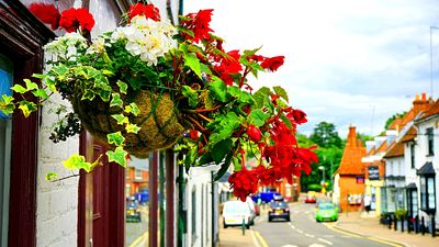 Flowers Download Jigsaw Puzzle