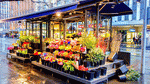 Flower Shop Download Jigsaw Puzzle